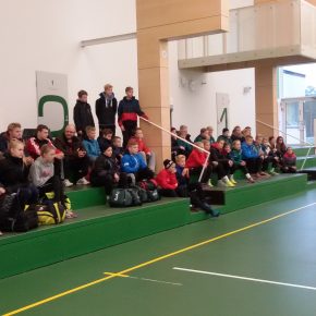 Talent01, Solvalla, lokakuu 2014. Kuva: Vanja Radic